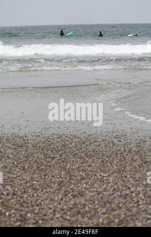 santa monica Strand an einem nebligen Sommertag Stockfoto