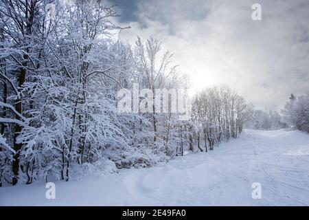 Schneebedeckte Bäume in den Bergen bei Sonnenuntergang. Wunderschöne Winterlandschaft. Stockfoto