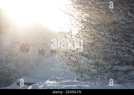 Schöne schneebedeckte Bäume im Wald auf dem Hintergrund eines Skilifts und Schneeflocken fliegen in der Luft glitzernden in der Morgensonne. Stockfoto