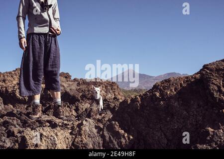 Kleiner Hund versteckt in Wanderjacke in felsigen Berg Vulkan Stockfoto