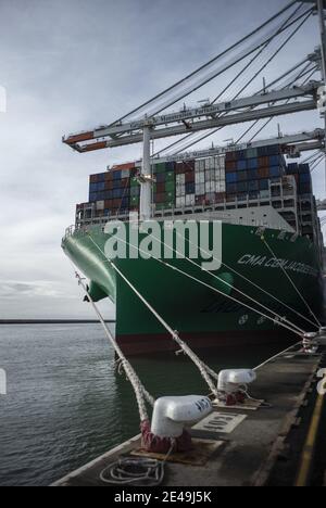 Dieses Bild zeigt Container, die sich auf dem Containerschiff 'CMA CGM Jacques Saade' bewegen, das am 22. Januar 2021 im Hafen von Le Havre im Nordwesten Frankreichs festgemacht wurde. Foto von ELIOT BLONDT/ABACAPRESS.COM Stockfoto