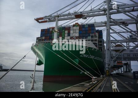 Dieses Bild zeigt Container, die sich auf dem Containerschiff 'CMA CGM Jacques Saade' bewegen, das am 22. Januar 2021 im Hafen von Le Havre im Nordwesten Frankreichs festgemacht wurde. Foto von ELIOT BLONDT/ABACAPRESS.COM Stockfoto