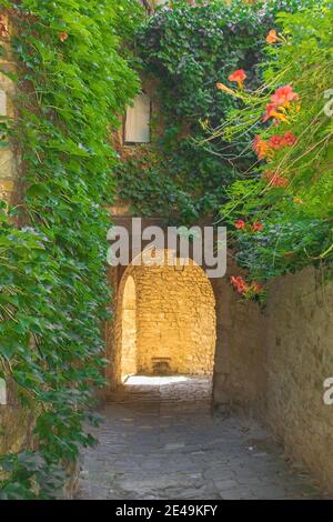 Ein steinerner Torbogen über eine ruhige Wohnstraße im historischen mittelalterlichen Dorf Montefioralle in der Nähe von Greve in Chianti in der Provinz Florenz, Toskana Stockfoto