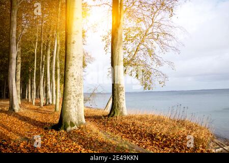 Küste auf der Insel Röm in Dänemark Stockfoto