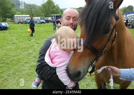 Straiton, Ayrshire, Schottland, Großbritannien 10. Juni 2017. Lokale landwirtschaftliche Show. Pony Tower Celidh bekommt eine Umarmung Form 14mth alten Niamh Allan Stockfoto