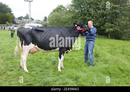 Straiton, Ayrshire, Schottland, Großbritannien 10. Juni 2017. Lokale landwirtschaftliche Show. Gewinner des Best Diary in der Show Clydeview Glaco Samatha mit Handler Ewan Kennedy von Perryston Farm, Ayr Stockfoto