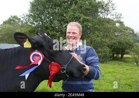 Straiton, Ayrshire, Schottland, Großbritannien 10. Juni 2017. Lokale landwirtschaftliche Show. Gewinner des Best Diary in der Show Clydeview Glaco Samatha mit Handler Ewan Kennedy von Perryston Farm, Ayr Stockfoto