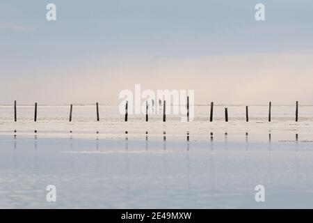 Holzpfosten zeigen den Weg ins Wattenmeer mit zwei Personen im Hintergrund in St. Peter Ording, Nordfriesland, Schleswig Holstein, Deutschland Stockfoto