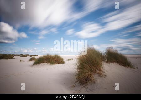 Düne mit Strandgras und Seilleiter als Strandkreuzung auf der Insel Amrum in Nordfriesland, Schleswig-Holstein, Deutschland Stockfoto