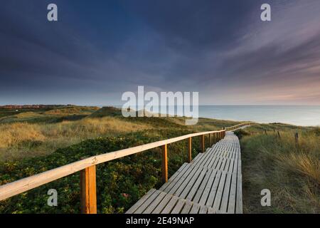 Holzfußbrücke mit Geländer als Strandübergang von Rantum im Abendlicht auf der Insel Sylt in Nordfriesland, Schleswig-Holstein, Deutschland Stockfoto