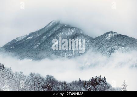 Schneebedeckte Berglandschaft in den bayerischen alpen vom Skigebiet Hocheck aus gesehen, Winter, Oberaudorf, Bayern, Deutschland, Stockfoto