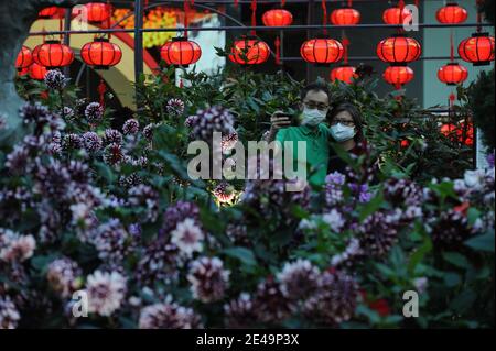 Singapur. Januar 2021. Im Rahmen der Neujahrsfeiern im Flower Dome of Singapore's Gardens by the Bay am 22. Januar 2021 besuchen die Menschen die Blumenpracht „Dahlia Dreams“. Kredit: Dann Chih Wey/Xinhua/Alamy Live Nachrichten Stockfoto