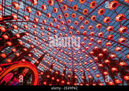 Singapur. Januar 2021. Im Rahmen der Neujahrsfeiern im Flower Dome of Singapore's Gardens by the Bay am 22. Januar 2021 besuchen die Menschen die Blumenpracht „Dahlia Dreams“. Kredit: Dann Chih Wey/Xinhua/Alamy Live Nachrichten Stockfoto