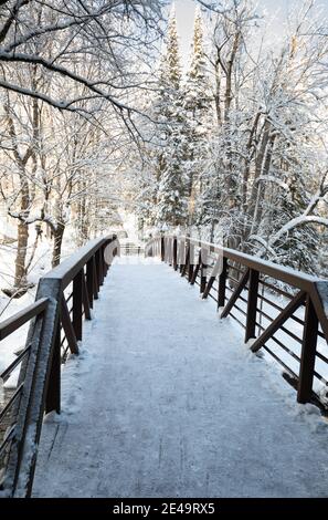 Eine schneebedeckte Brücke entlang eines Waldweges in Ontario Stockfoto