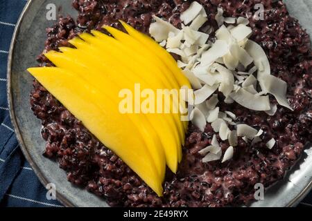 Hausgemachter Lila Mango klebriger Reis mit Kokosmilch Stockfoto