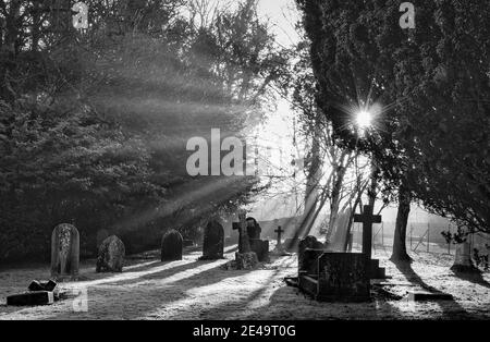Am frühen Morgen Sonnenlicht in einem alten Friedhof/Friedhof Stockfoto