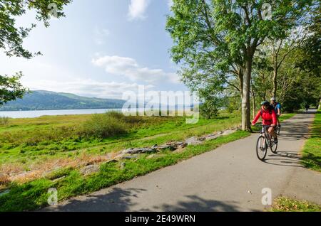 Bala; Großbritannien: 20. Sep 2020: An einem sonnigen Sonntag im September fahren Radfahrer gerne auf einem asphaltierten Weg am Bala See entlang. Stockfoto