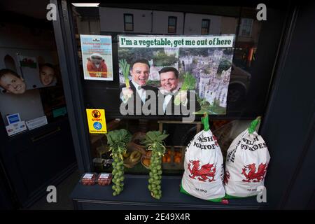 Ein Laden in Abergele, Nordwales, dekoriert als Hommage an die Fernsehsendung I'm A Celebrity Get Me Out Here, die im Gwrych Castle am Stadtrand gedreht wird. Es gibt Berichte, dass nicht-einheimische Arten von Insekten wie Kakerlaken aus dem Set entkommen sind und ihren Weg in die lokale Umgebung gefunden haben. Stockfoto