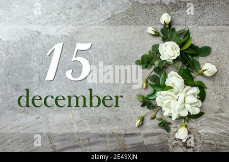 Dezember. Tag 15 des Monats, Kalenderdatum. Stilvolle Rosen flach legen. Weiße Rosen umrandet auf pastellgrauem Hintergrund mit Kalenderdatum. Wintermonat, Stockfoto