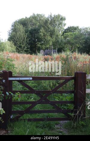 Über gewachsenem Garten und ruiniert leerstehende Hütte Stockfoto