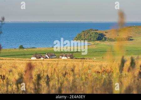 Mönchgut, Blick von Bakenberg auf Strohdachhäuser Taun Hövt bei Gross Zicker, Ostsee, Ostsee, Rügeninsel, Mecklenburg-Vorpommern / Mecklenburg-Vorpommern, Deutschland Stockfoto