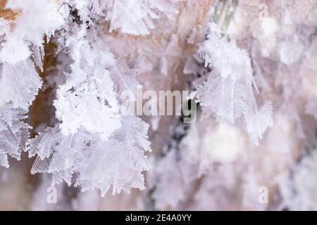 Winter Hintergrund mit Kristallen Schneeflocken gefrorenen Mustern und Schnee auf gefrorenen Brettern. Eiszapfen mit Schneeflocken Stockfoto