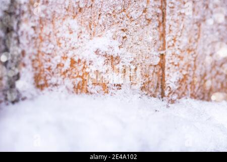 Altes Holzbrett mit Schneeflocken. Hintergrund von Holzbrettern im Schnee. Winterhintergrund Stockfoto