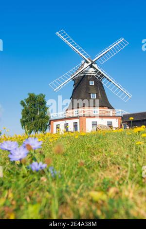 Klütz, Windmühle in Klütz, Ostsee, Mecklenburg-Vorpommern / Mecklenburg-Vorpommern, Deutschland Stockfoto