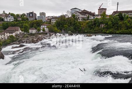 Rheinfall, Schweiz - 6. Mai 2017: Die Rheinfalllandschaft bei bewölktem Tag Stockfoto