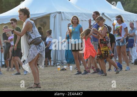 Wien, Österreich. 25. August 2017. Impressionen von der Festspielsaison 2017 auf der Donauinsel in Wien. Tanzende Menschen auf einem Festival. Stockfoto