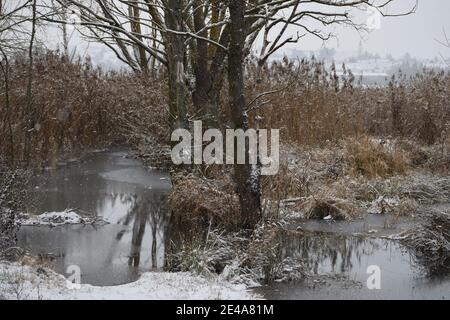 Schneefall in einer ländlichen Idylle Stockfoto