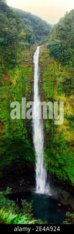 Blick auf einen Wasserfall, Akaka Falls, Akaka Falls State Park, Hawaii County, Hawaii, USA Stockfoto