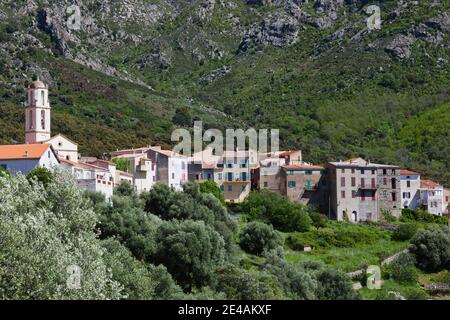 Gebäude in einer Stadt, Zilia, La Balagne, Haute-Corse, Korsika, Frankreich Stockfoto