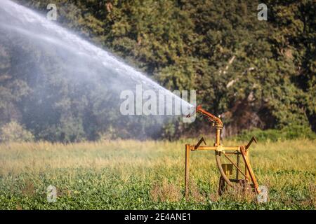 Inden, Nordrhein-Westfalen, Deutschland - Rübenfeld wird bei Trockenheit bewässert. Stockfoto