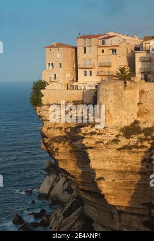 Häuser auf einer Klippe, Bonifacio, Corse-Du-Sud, Korsika, Frankreich Stockfoto