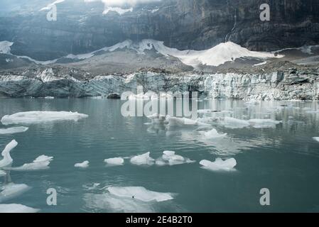 Gletschersee mit Eisschollen, Gletscherbruch Stockfoto
