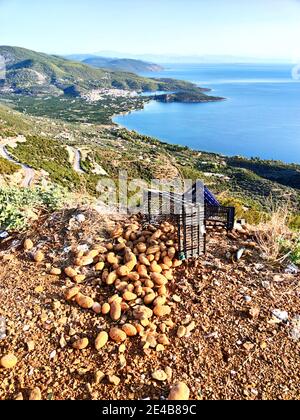 Am Rand einer Bergstraße wurden Kartoffeln und Kisten entsorgt, Blick auf die Bucht von Epidauros, Argolis, Peloponnes, Griechenland Stockfoto