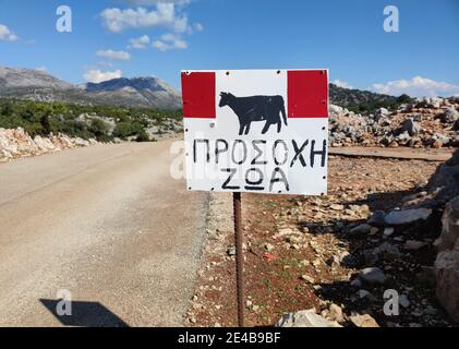 In der bergigen Landschaft warnt ein Schild vor Kühen auf der Straße zwischen Mitikas und Astakos, Zentralgriechenland. Stockfoto