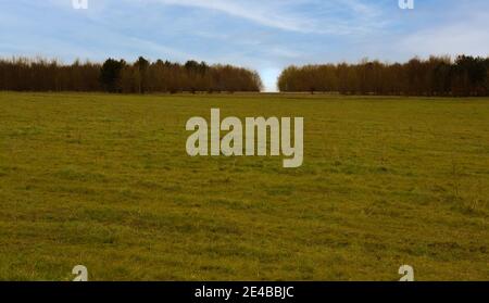 Durch eine Lücke in der Baumgrenze zum langen blauen Himmel schauend... Stockfoto