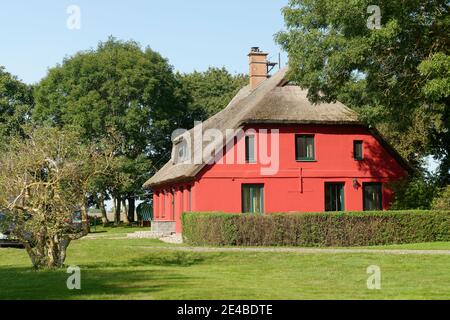 Reetdachhaus in der Nähe von Nobbin, Halbinsel Wittow, Insel Rügen, Mecklenburg-Vorpommern, Deutschland Stockfoto