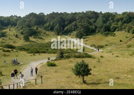 Blick vom Leuchtturm auf die Insel Dornbusch, Hiddensee, Ostsee, Mecklenburg-Vorpommern, Nationalpark Vorpommern, Deutschland, Stockfoto