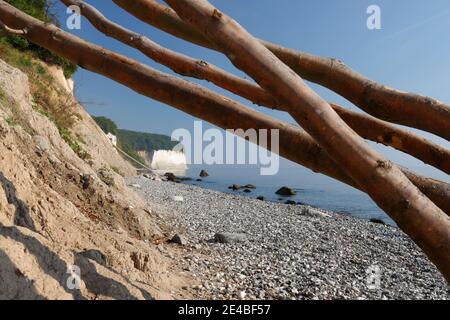 Kreideküste im Nationalpark Jasmund, Insel Rügen, Ostsee, Nationalpark Jasmund, Mecklenburg-Vorpommern, Deutschland Stockfoto