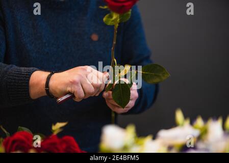 Kaukasischen Floristen Verkauf Blumensträuße von roten und rosa Rosen für valentinstag. Konzept der menschlichen Emotionen, Gesichtsausdruck, Liebe und harte Arbeit Stockfoto