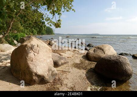 Greifswalder Buchtküste zwischen Neuendorf und Lauterbach, Landkreis Putbus, Insel Rügen, Mecklenburg-Vorpommern, Deutschland Stockfoto