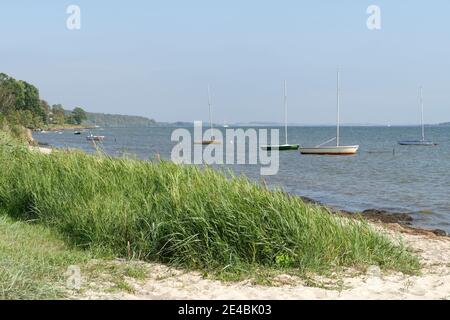 Greifswalder Buchtküste zwischen Neuendorf und Lauterbach, Landkreis Putbus, Insel Rügen, Mecklenburg-Vorpommern, Deutschland Stockfoto