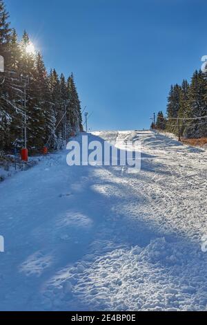 Schöne Kiefern auf serbischem Berg im dezember. Schnee auf Kiefernästen. Viel Schnee auf den Straßen. Blauer und klarer Himmel. Schnee auf der Skipiste. Sonnenstrahlen p Stockfoto