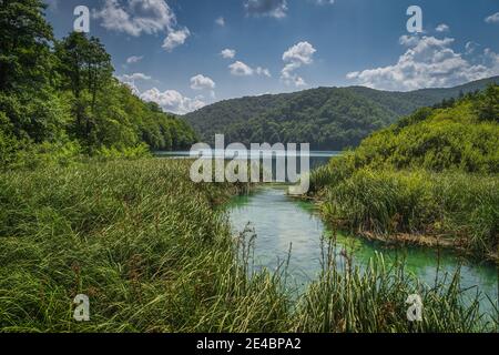 Türkisfarbener Fluss, umgeben von Schilf und grünen üppigen Wald fließt in den See, Plitvicer Seen Nationalpark UNESCO-Weltkulturerbe in Kroatien Stockfoto