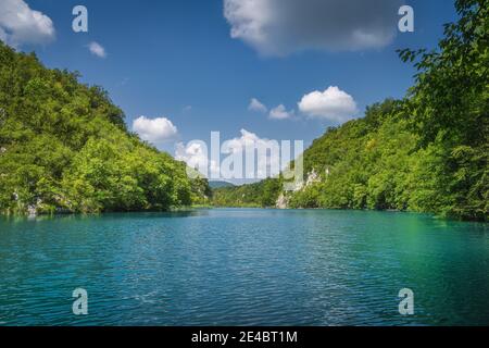 Sauber, türkisfarben, See umgeben von Hügeln und grünen üppigen Wald, Plitvicer Seen Nationalpark UNESCO-Weltkulturerbe in Kroatien Stockfoto