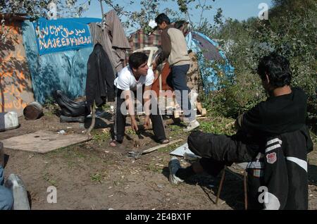 Migranten, die versuchen, nach Großbritannien zu gelangen, meist aus Afghanistan, werden am 18. September 2009 in einem Waldgebiet, bekannt als "der Dschungel" in Calais, Nordfrankreich, dargestellt, wo sie sich zuhause aufmachen. Die französische Regierung kündigte am 16. September 2009 an, dass es w Stockfoto