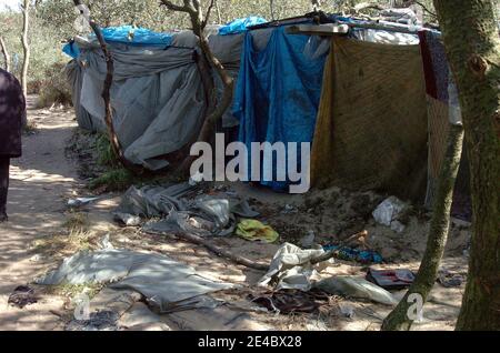 Migranten, die versuchen, nach Großbritannien zu gelangen, meist aus Afghanistan, werden am 18. September 2009 in einem Waldgebiet, bekannt als "der Dschungel" in Calais, Nordfrankreich, dargestellt, wo sie sich zuhause aufmachen. Die französische Regierung kündigte am 16. September 2009 an, dass es w Stockfoto